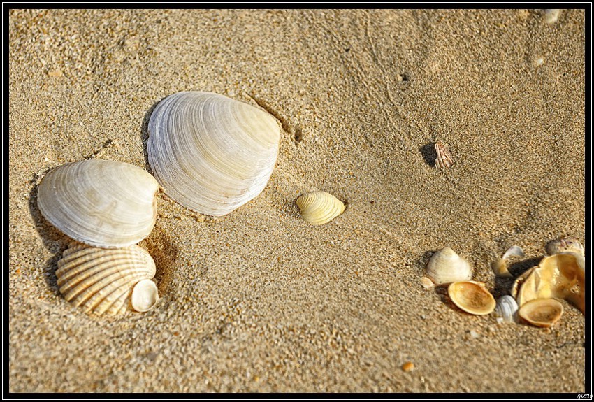 20100405_110935-border.jpg (236 KB)