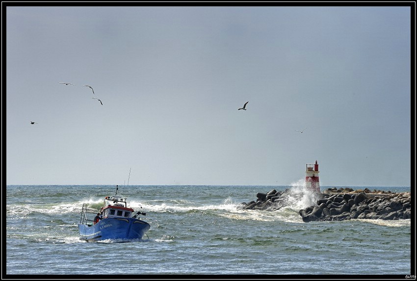 20100405_121056-border.jpg (104 KB)