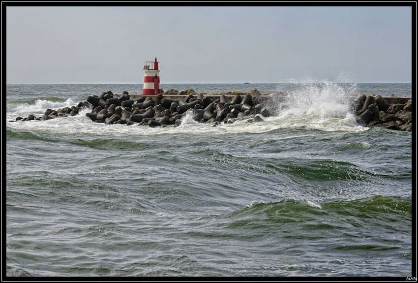 20100405_121857-border.jpg (157 KB)