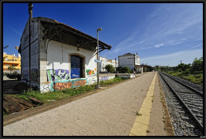 20100406_111029-border.jpg (162 KB)