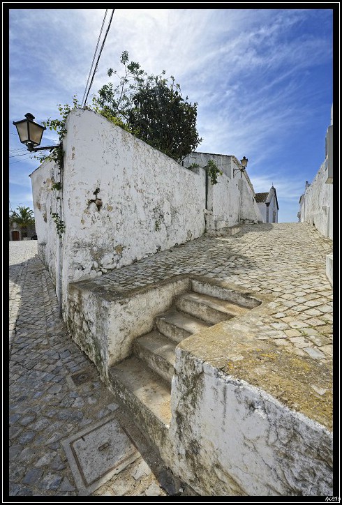 20100406_124453-border.jpg (143 KB)