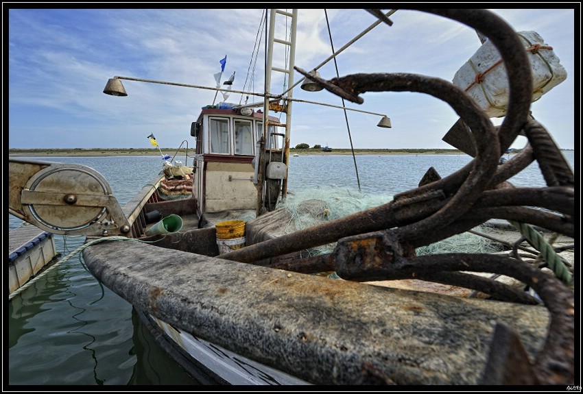 20100406_155444-border.jpg (148 KB)