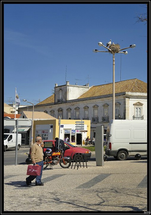 20100407_121110-border.jpg (111 KB)