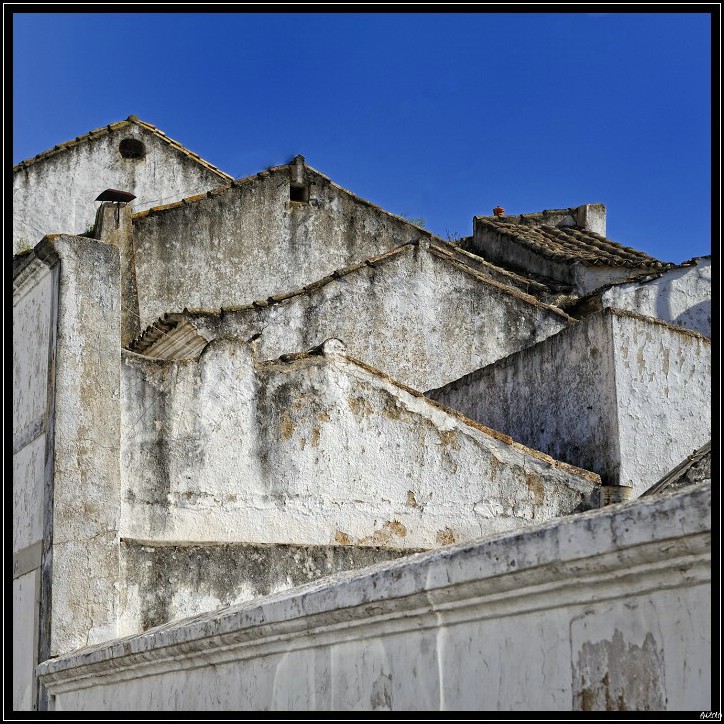 20100407_173818-border.jpg (187 KB)