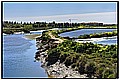 20100404_124333-border.jpg(180 KB)