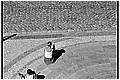 20100407_124236-border.jpg(240 KB)