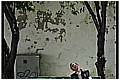 20100407_152104-border.jpg(143 KB)