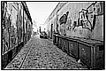 20100407_173403-border.jpg(189 KB)