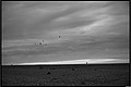 24_04_23_204335-border.jpg