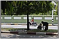 20110411_063328-border.jpg(192 KB)