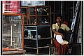 20110411_075628-border.jpg(108 KB)
