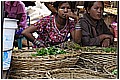 20110411_092240-border.jpg(178 KB)