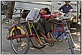 20110411_092745-border.jpg(183 KB)