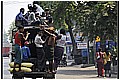 20110411_094937-border.jpg(171 KB)