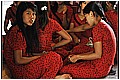 20110411_112016-border.jpg(219 KB)