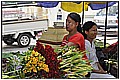 20110411_112738-border.jpg(157 KB)