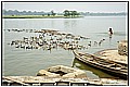 20110412_071512-border.jpg(143 KB)