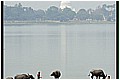 20110412_085213-border.jpg(70,8 KB)