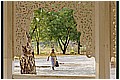 20110414_121004-border.jpg(112 KB)