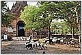 20110416_040327-border.jpg(293 KB)