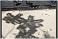 2011_04_24_08_22-border.jpg(136 KB)