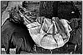 2011_04_24_08_24-border.jpg(165 KB)