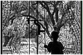 20110415_071625-border.jpg(157 KB)