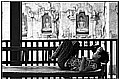 20110415_115343-border.jpg(138 KB)