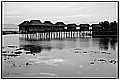 20110417_135609-border.jpg(134 KB)