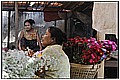 20110422_050231-border.jpg(153 KB)