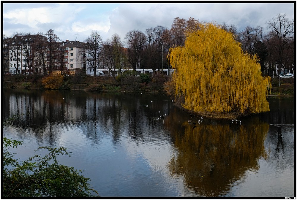 18-12-03_16_14-border.jpg
