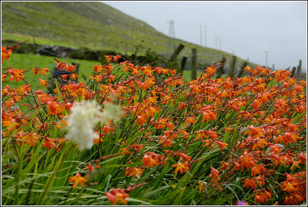 2008_08_24_13_21 _DxO2_raw-border.jpg (267 KB)