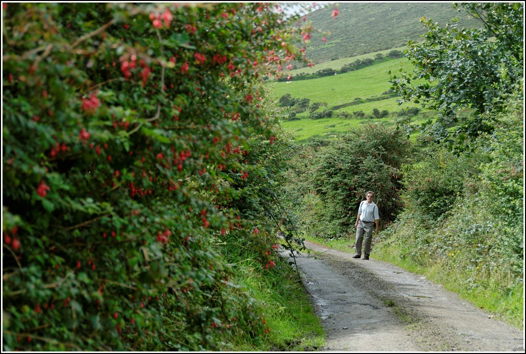 2008_08_24_14_44 _DxO2_raw-border.jpg (302 KB)