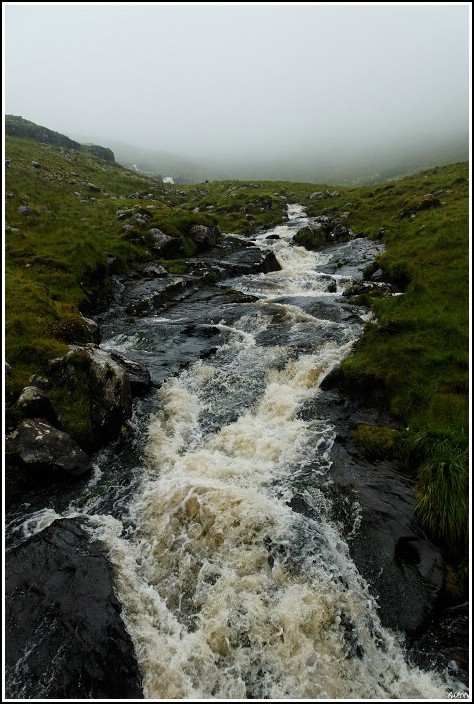 2008_08_26_12_27 _DxO2_raw-border.jpg (117 KB)