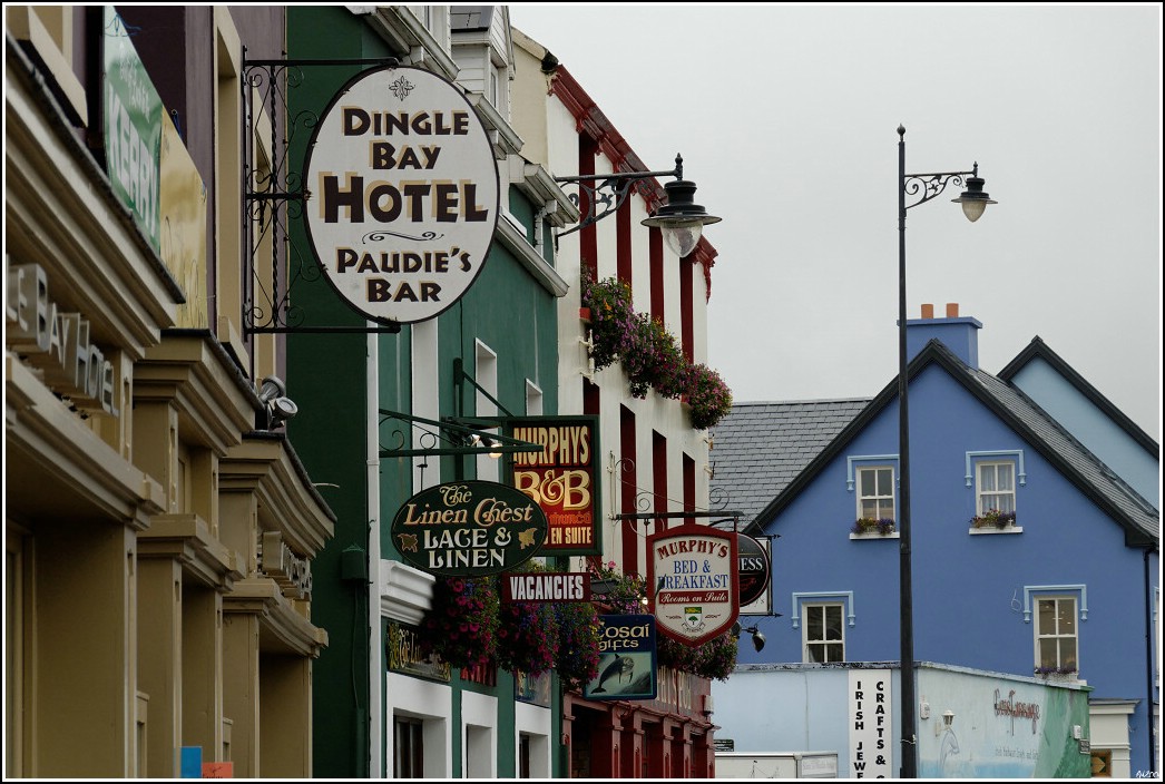2008_08_26_17_35 _01_DxO2_raw-border.jpg (198 KB)