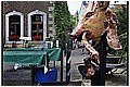 2009_06_28_18_13-border.jpg(140 KB)