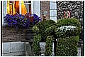 2009_06_28_21_52 _01-border.jpg(221 KB)
