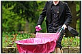2012_05_11_16_30 _01-border.jpg(116 KB)
