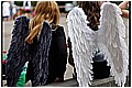 2012_05_11_16_50-border.jpg(152 KB)