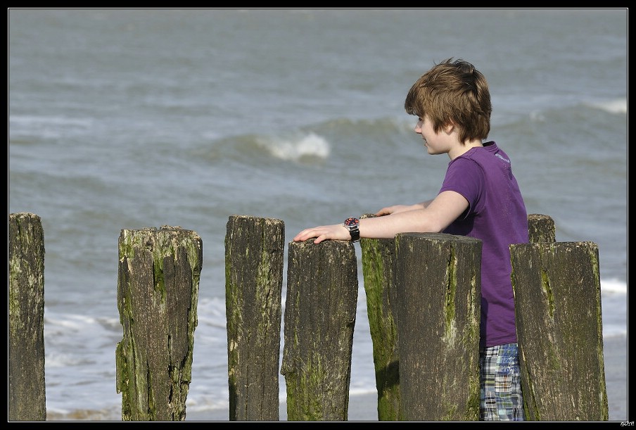 2011_03_24_15_56 _02-border.jpg (146 KB)