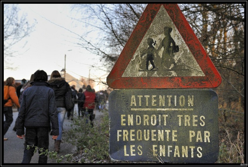 2009_12_15_15_37 _01-border.jpg (177 KB)