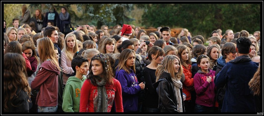 2012_11_30_15_12-border.jpg (109 KB)