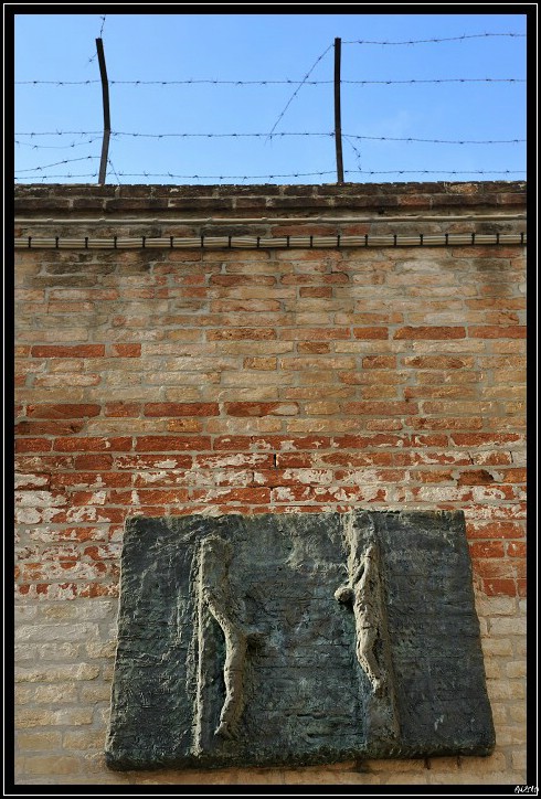 20100216_142502-border.jpg (137 KB)