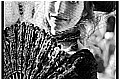 20100215_130935-border.jpg(122 KB)
