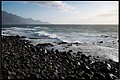 2026_04_13_19_30_01-border.jpg