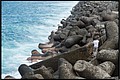 2026_04_14_15_55_01-border.jpg