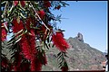 2026_04_16_11_31_01-border.jpg