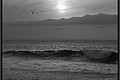 2026_04_16_20_07_01-border.jpg