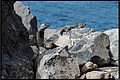 2026_04_19_17_34_01-border.jpg