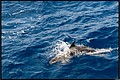 2026_04_20_11_19_01-border.jpg
